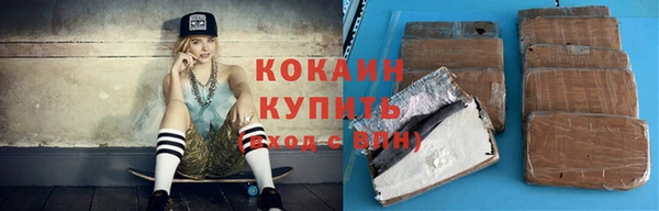 ПСИЛОЦИБИНОВЫЕ ГРИБЫ Вяземский