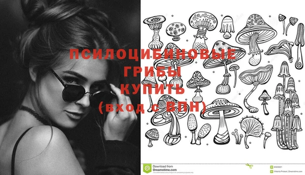 спайс Вязьма
