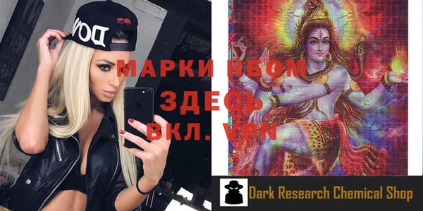 индика Пестово