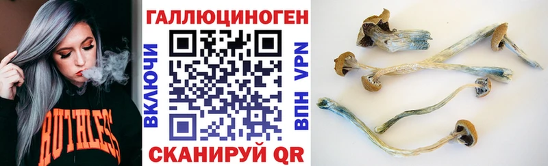 Купить  Михайловка  Галлюциногенные грибы Cubensis 